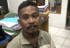 Bakar 200 Hektare Lahan untuk Kebun Sawit, Pria di Inhu Ditangkap Polres dan Polhut TNBT