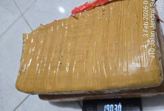 Pesta Ganja Gagal Total! Polsek Mandau Sikat Pengedar di Batang Serosa, 1,9 Kilogram 'Daun Surga' Disita!