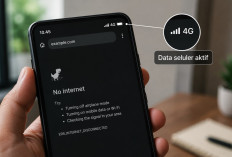 Internet Tidak Jalan Padahal Kuota Masih Banyak? Coba 8 Cara Ini