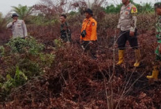 Karhutla Pinggir Bengkalis Padam Usai Hujan Lebat, Tim Gabungan Tetap Siaga