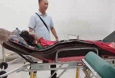 Harimau Sumatra Terkam Pekerja di Siak, Selamat Usai Disorot Lampu Ekskavator