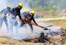 Antisipasi El Nino 2026, Otorita IKN Gelar Simulasi Cegah Kebakaran Hutan