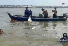 Kapal SB Eagle 11 Tabrak SB Four Brother 03 Hingga Terbalik, Tim SAR Gabungan Bergerak