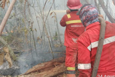 Karhutla Inhu Riau Tembus 471 Hektare, Tim Gabungan Berjibaku Tembus Medan Gambut Hari ke-22