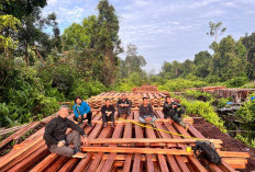 7 Hari Road Trip Ekstrem, Jenderal Riau Lihat dari Udara, Polisi Hajar 300 Kubik Kayu Illegal Logging!