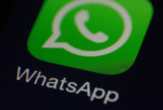 Jangan Panik Saat Chat WhatsApp Terhapus, Lakukan Langkah Ini untuk Memulihkannya