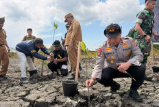Polda Riau Gerak Cepat! 118 Hektare Mangrove Rusak Mulai Dipulihkan