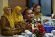 Ribuan Honorer Siak Batal Dipecat! Bupati Afni Temukan Jurus Jitu Selamatkan Gaji dan Nasib Non-ASN