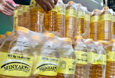 Harga Minyakita di Pekanbaru Tembus Rp20 Ribu, Disperindag Curigai Permainan Distributor