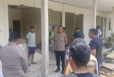 Kawanan Gajah Masuki Perumahan Karyawan PT Arara Abadi, Warga Ketar Ketir