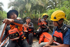 Korban Diduga Diterkam Buaya di Dumai Akhirnya Ditemukan, Operasi SAR Hari Kedua Berakhir
