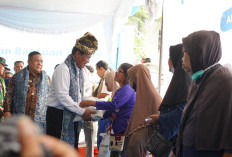 Mentan Amran Banjiri Riau Bantuan Beras 1.814 Ton, Puji Soliditas dan Kekompakan Forkopimda