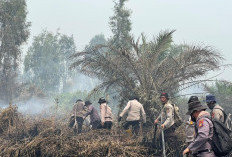 Sumatera Dikepung 1.225 Titik Panas, Asap Mulai Kaburkan Jarak Pandang di Riau