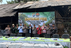 Polda Riau Bongkar Penyelundupan 140 Ton Arang Mangrove Ilegal ke Malaysia