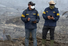 Kebakaran Hutan Riau: Polda Tetapkan 2 Tersangka Perambah Sawit Ilegal 