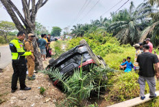 Ngeri! Fortuner Dinas Wakil Ketua DPRD Bengkalis Terjun ke Parit Usai Tabrakan Adu Banteng