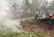 Terdeteksi 491 Hotspot di Riau, Kualitas Udara Pekanbaru Sangat Tidak Sehat