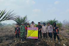 Nekat Tanam Sawit di Hutan Produksi, Pria di Bengkalis Dijerat Pasal Berlapis Usai Lahan Terbakar