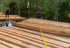 Hutan Meranti Terancam! Polres Bongkar Sindikat Illegal Logging, 8 Ton Kayu Ilegal Disita!