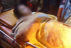 Tragedi di Tepian Sungai Metas, Warga Siak Tewas Diterkam Buaya