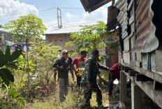 Teror Harimau Sumatera Bikin Warga Siak Cemas, Si Belang Masuk ke Pekarangan Rumah
