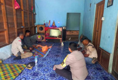 Buaya Muara Serang Warga di Sungai Sendewo, Pulau Merbau Makin Mencekam