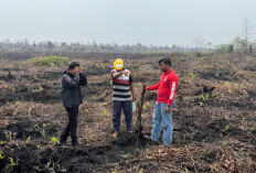 Karhutla Bengkalis Berujung Tersangka, Pria 58 Tahun Diduga Garap 6 Hektare Hutan