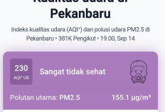Pekanbaru Diselimuti Asap Pekat, BMKG Deteksi 3.144 Titik Panas Karhutla di Sumatera