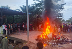 Warga Bakar Rumah Terduga Bandar Narkoba di Panipahan, Pengamat: Copot Kapolres Rohil