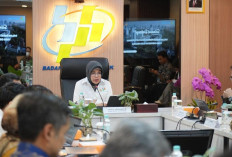 Data Perumahan Nasional Bakal Dirombak, Kementerian PKP dan BPS Siapkan Integrasi Besar-besaran