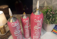 Nyawa Taruhannya! Kemenkes Bongkar Bahaya Mematikan Gas N2O Whip Pink yang Viral