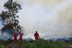 Pahlawan Karhutla Riau Gugur Saat Tugas, Plt Gubernur SF Hariyanto Berduka Sedalam-dalamnya