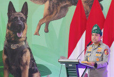 Pahlawan Tak Bertuan! Reno K9 Polda Riau Tewas Saat Misi Kemanusiaan, Kapolri Kasih Medali Emas