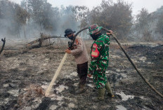 Tim Gabungan Perkuat Pemadaman dan Pendinginan 14 Titik Karhutla di Siak