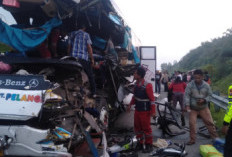 Sopir Diduga Microsleep, Bus Pelangi Hantam Tronton di Tol Pekanbaru-Dumai Dua Orang Tewas