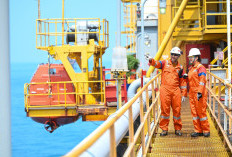 Ketahanan Energi Nasional Menguat, Pertamina Hulu Energi Dongkrak Produksi Migas di Usia 19 Tahun