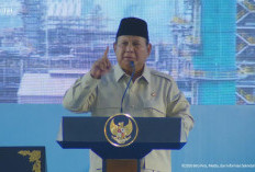Presiden Prabowo Puji Tim Gabungan Penanganan Karhutla Riau, Janjikan Kenaikan Pangkat Pimpinan