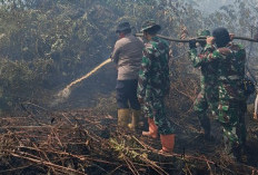 HUTAN RIAU MEMBARA! Satelit NASA Deteksi Titik Api, Tim Gabungan Siaga Kepung Karhutla di Rupat