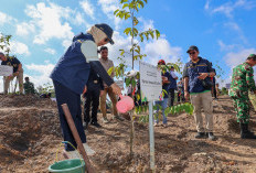 IKN Gebrak Konsep Kota Hutan, 5 Juta Pohon Ditanam dan Habitat Satwa Dipulihkan
