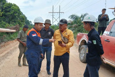 Viral Video Harimau Sumatera di Siak! BBKSDA Riau Beri Peringatan Keras, Ternyata Ini Lokasi Aslinya