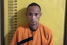 Ayah Tiri di Inhu Diduga Cabuli Tiga Anak di Bawah Umur, Korban Akhirnya Bersuara