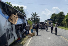 Tragedi Maut di Pelalawan: 4 Orang Tewas Akibat Manuver Nekat Bus Maut, Jalan Lintas Timur Jadi Saksi Bisu!