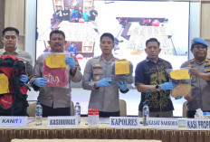 Bawa 3 Kg Cartridge Narkoba ke Medan, Pria Asal Lampung Ditangkap Polres Dumai