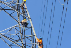 Listrik di Riau Kembali Normal 100 Persen, Perjuangan Nonstop Petugas PLN Berhasil Taklukkan Pemadaman Massal