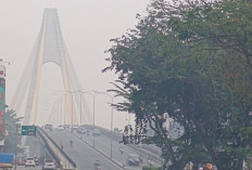 Kualitas Udara Pekanbaru Sangat Tidak Sehat, Hotspot Karhutla di Sumatera Tembus 4.737 Titik