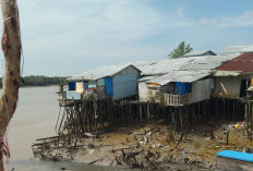 Hantaman Ombak Picu Longsor Sabet Belasan Rumah di Kuala Enok, 4 Hanyut ke Sungai!