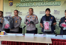 Tragis! Sopir Truk MinyaKita Dibunuh Rekan Sendiri, Polisi Bongkar Komplotan Rampok Sadis di Pekanbaru