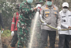 Kapolda Riau dan Pangdam Turun Langsung Padamkan Kebakaran Lahan di Kerumutan