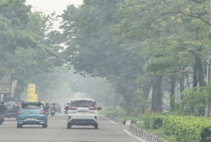 Kabut Asap di Pekanbaru Makin Parah, Sekolah Tutup