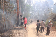 Kabut Asap Karhutla Memburuk, 11 Ribu Warga Riau Terserang ISPA dalam Dua Pekan